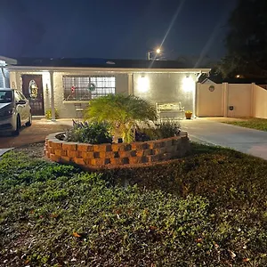 The Little Paris Apartment Tampa
