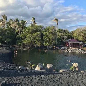 The Dolphin At Ferienhaus Kehena